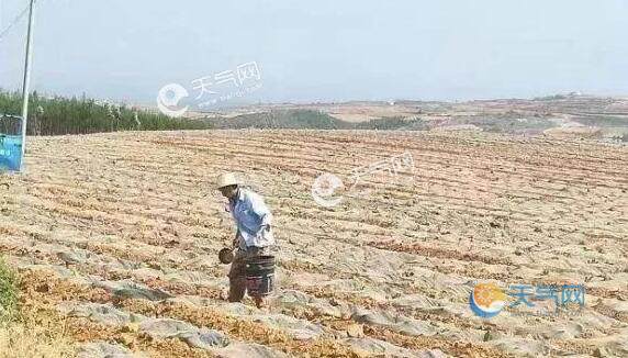 河北发布今年首个干旱预警 沧州衡水等地达重旱水平