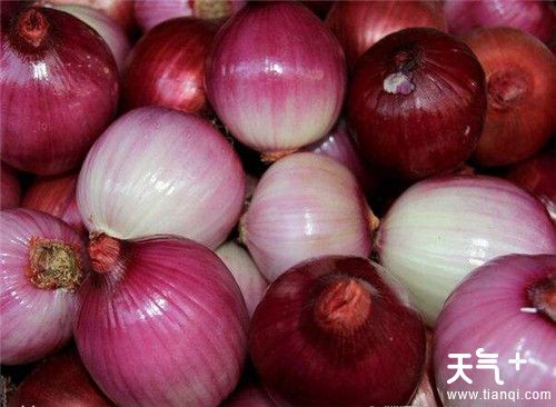 10个超实用食物保鲜窍门  食物保鲜的方法有哪些