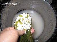 豆沙葡萄干棕子的做法步骤15