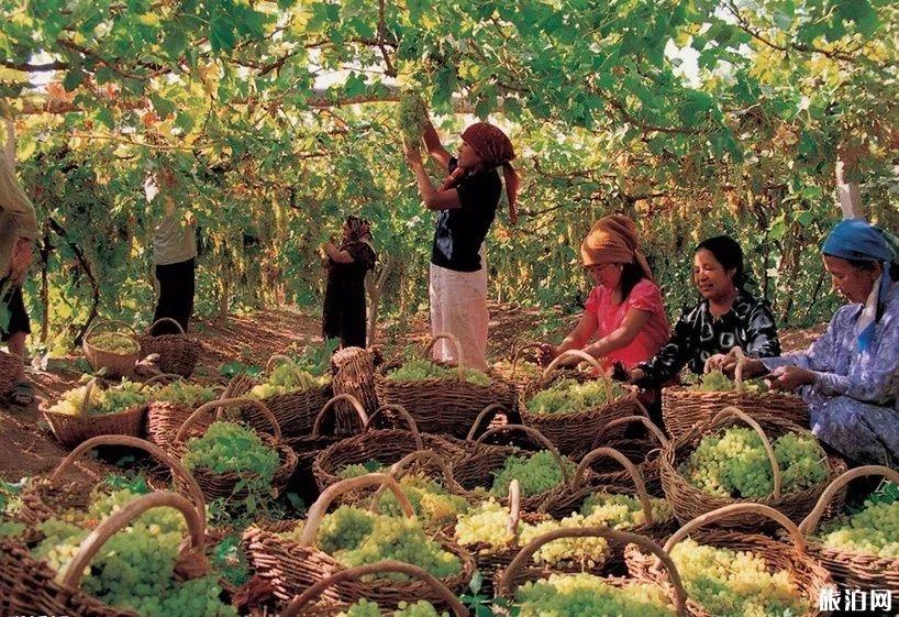 北疆景点有哪些 喀纳斯景区门票多少钱