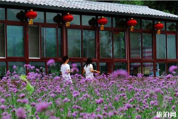 怀柔月牙湾薰衣草庄园门票多少钱