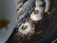 青鱼烧粉条的做法步骤8