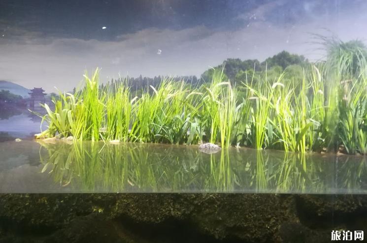 杭州亲子二日游攻略 杭州亲子二日游攻略