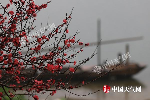 华南局部有暴雨 江南低温持续阴冷转晴冷