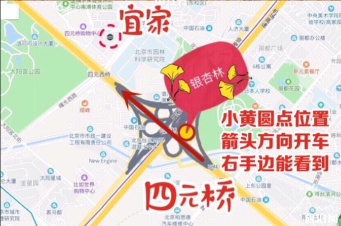 2019北京哪里银杏最好看