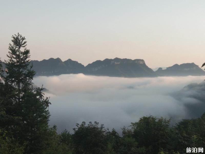 张家界三日游攻略最新