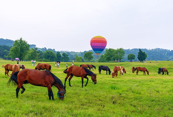 北京哪里可以避暑 北京避暑好去处