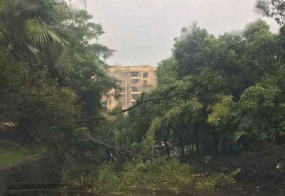 未来三天广西云南等地将持续有降雨 江淮一带有暴雨