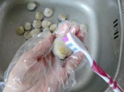 辣炒蛤蜊的做法步骤2