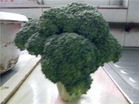 香肠炒西兰花的做法步骤1