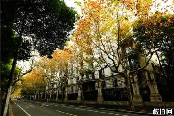 上海秋天哪里景色美