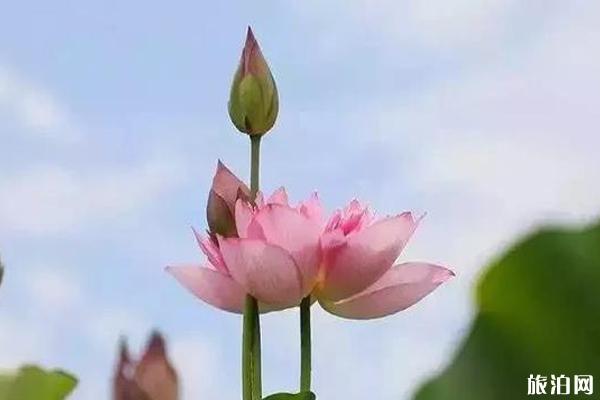 云南避暑胜地有哪些