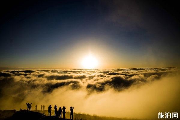 牛背山开放了吗 牛背山预计什么时候能开放 牛背山开放了吗 牛背山预计什么时候能开放