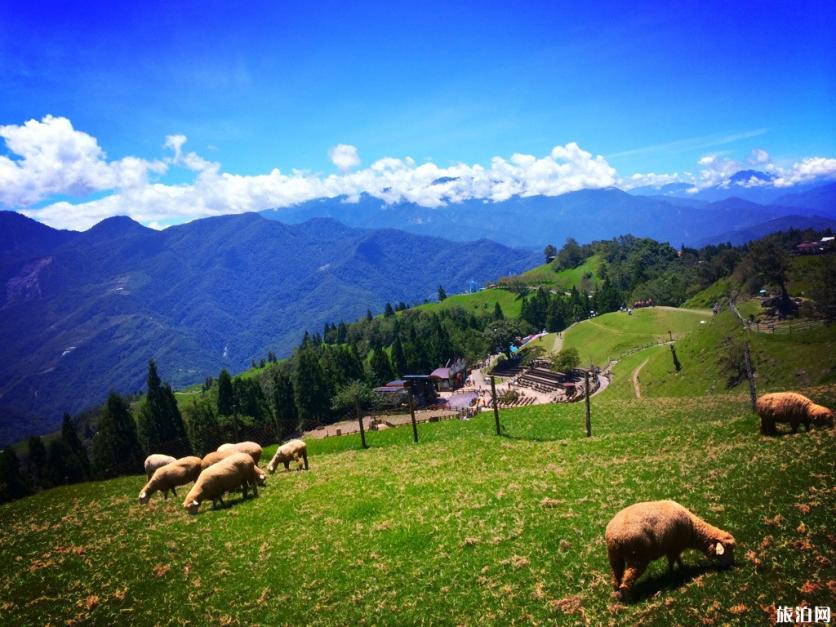 南投清境农场有什么好玩的