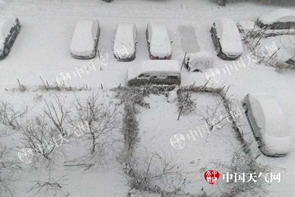 山东烟台迎今冬最强降雪启动应急预案 济南最高温仅3℃