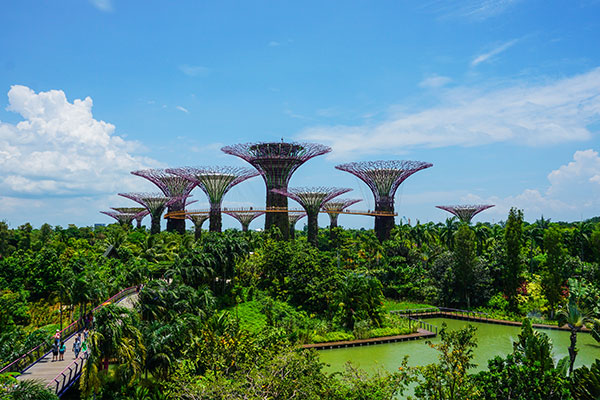 新加坡旅游要买境外保险吗 如何购买旅游境外险