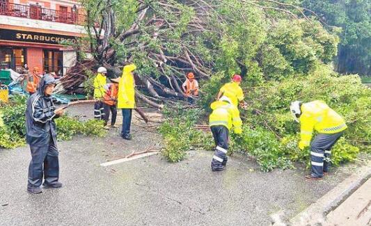 泉州仍有中到大雨气温24℃ 气象台继续发布“暴雨预警Ⅲ级”