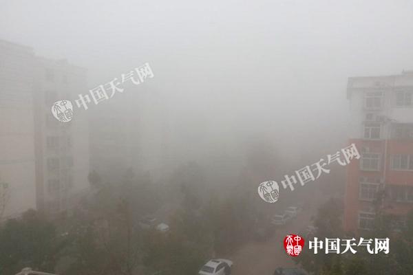湖北遭遇强浓雾多条高速封闭 明后天空气质量逐步转好