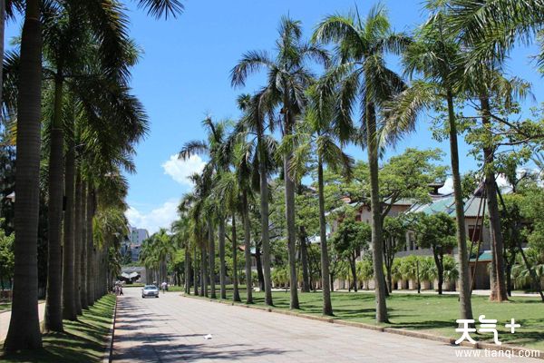 厦门旅游必去十大景点!