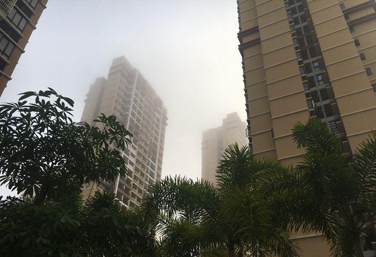 美！海南7市县发布大雾预警信号 椰城海口仿若仙境