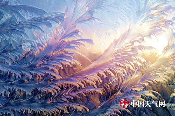 下周为辽宁入冬来最冷一周 沈阳最低-27℃为近五年最低