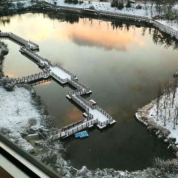 美不胜收！山东威海迎下半年初雪 雪花飞舞显冬意