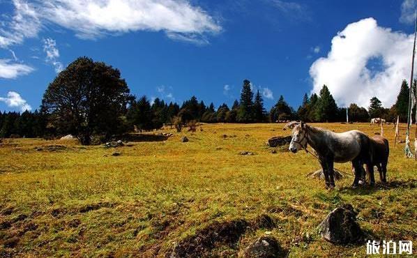 2019年9月份适合去哪里旅游 2019年9月份适合去哪里旅游