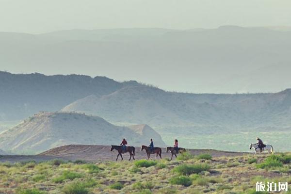 德克萨斯适合观星的好去处 德克萨斯适合观星的好去处