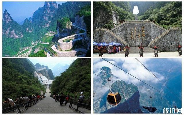 张家界国家森林公园和天门山三日游旅游攻略