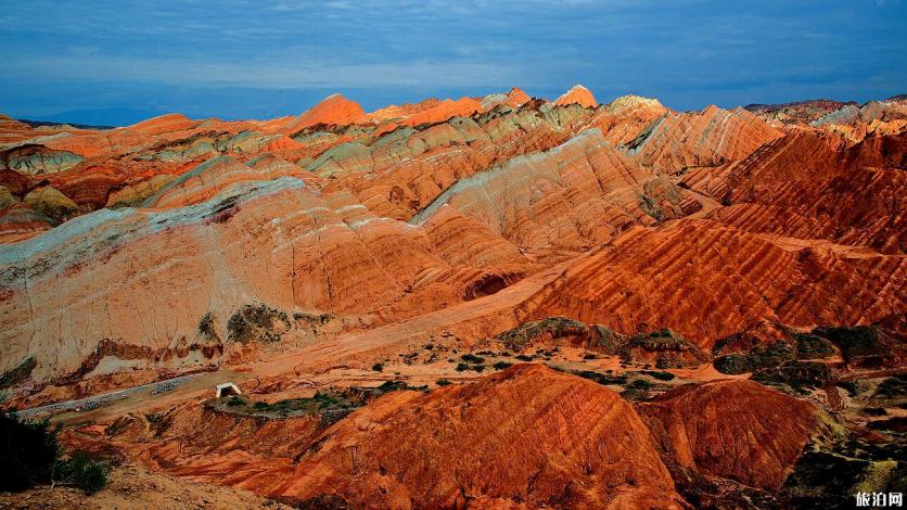 额济纳旗自由行七日游攻略