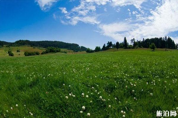 重庆避暑自然生态风景区有哪些 重庆避暑自然生态风景区有哪些