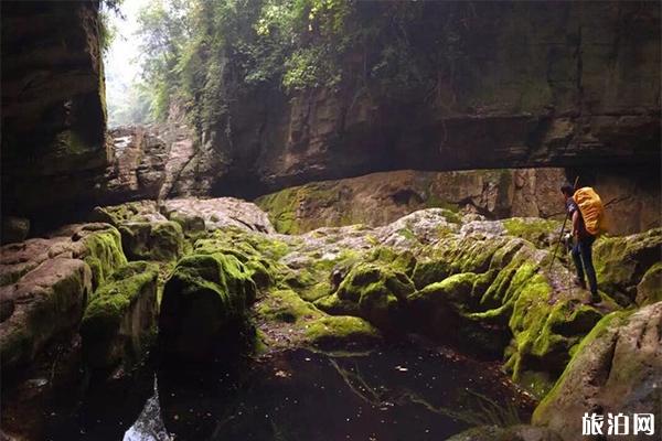 利川主要景点有哪些 利川各景点间的交通是什么样的 利川主要景点有哪些 利川各景点间的交通是什么样的