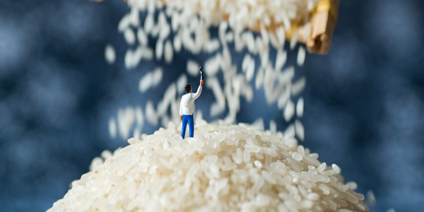 世界粮食日是几月几日 世界粮食日的由来