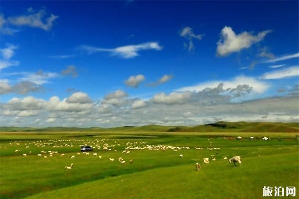 呼伦贝尔夏季旅游的优势 呼伦贝尔夏季旅游须知