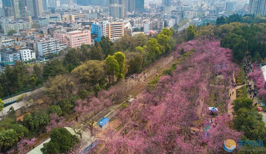 注意啦！云南降温降雪大雨齐来袭 昆明最高温将跌破10℃