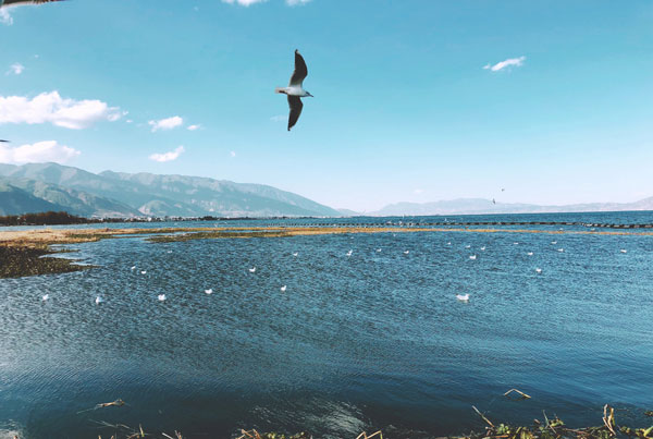 三月份去哪里旅游好 三月适合旅游的地方