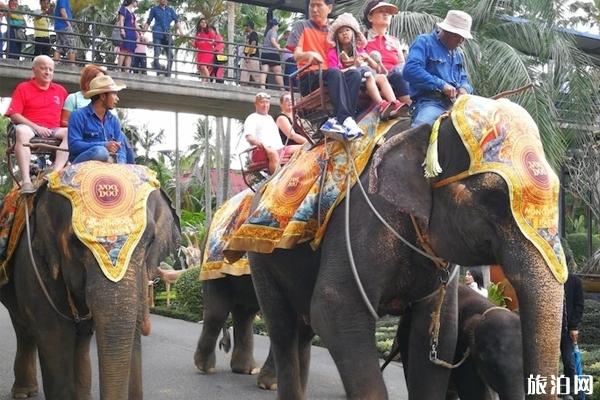 泰国东芭乐园怎么样  门票价格与表演时间分别是什么时候