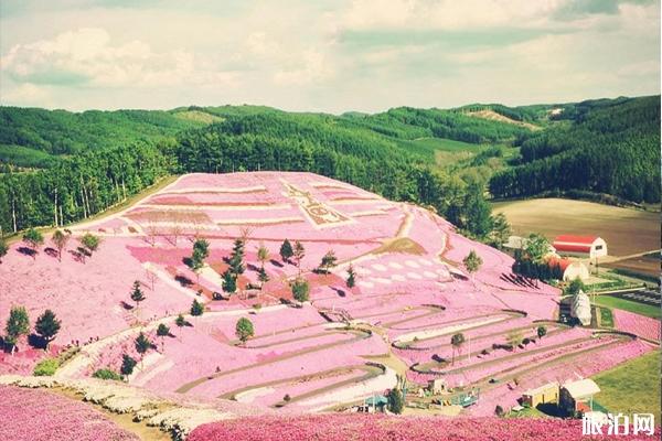 2019北海道6.1级地震最新消息 9月适合去北海道游玩吗