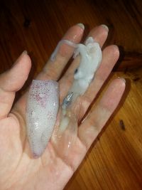 麻辣墨鱼的做法步骤2