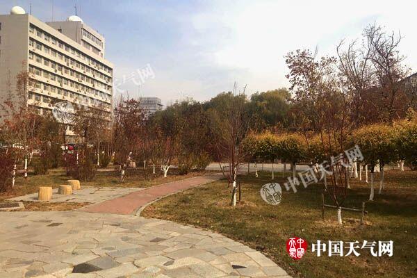 吉林暖阳过后又逢雨 气温三级跳
