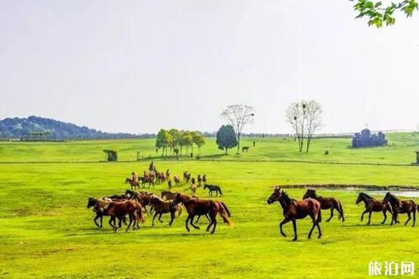 2019年武汉旅游节是几月几号+免费景点推荐 2019年武汉旅游节是几月几号+免费景点推荐