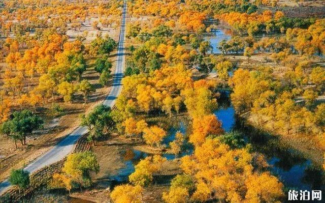 2019南疆有哪些景点+门票价格+最佳游玩时间