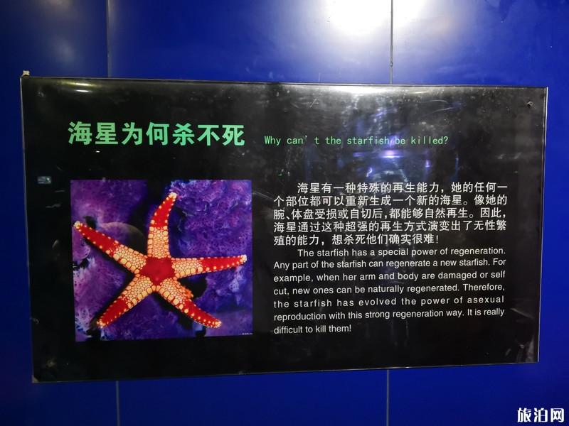 蓬莱三日游旅游攻略 蓬莱三日游景点推荐