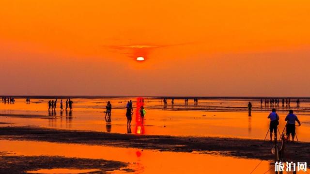 台中有哪些网红景点值得一去