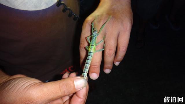 台湾绿岛特色玩法有哪些