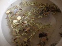 夏季消火养生茶的做法步骤4