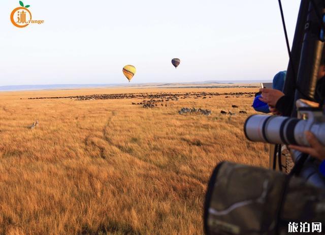 肯尼亚热气球值得吗 肯尼亚马赛马拉热气球好玩吗 肯尼亚热气球安全吗 肯尼亚热气球值得吗 肯尼亚马赛马拉热气球好玩吗 肯尼亚热气球安全吗
