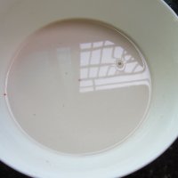 凉拌自已做的粉条的做法步骤2