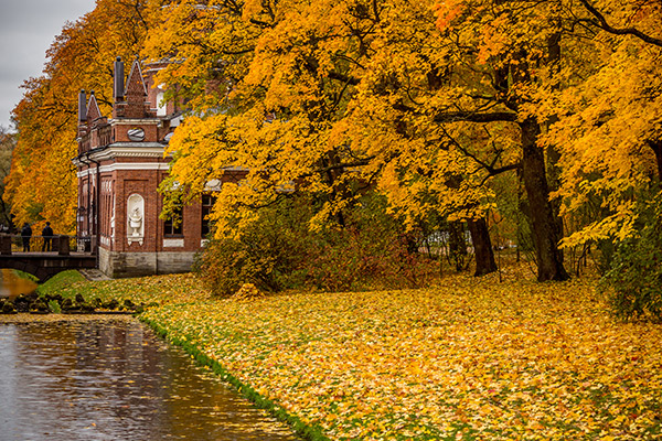 2019国外赏枫叶最好的地方 2019国外赏枫叶胜地