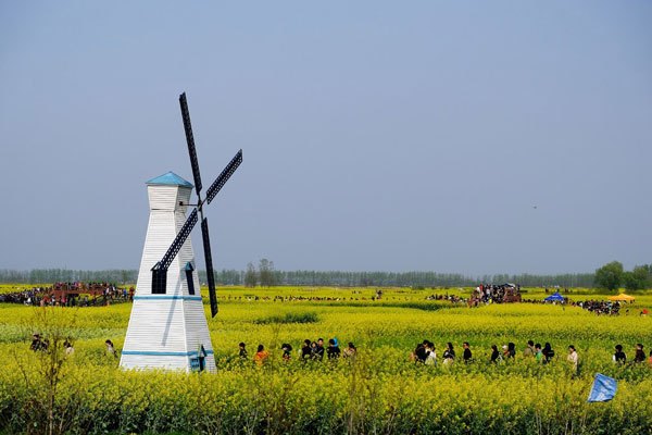 2019兴化油菜花什么时候开 兴化油菜花景点在哪里